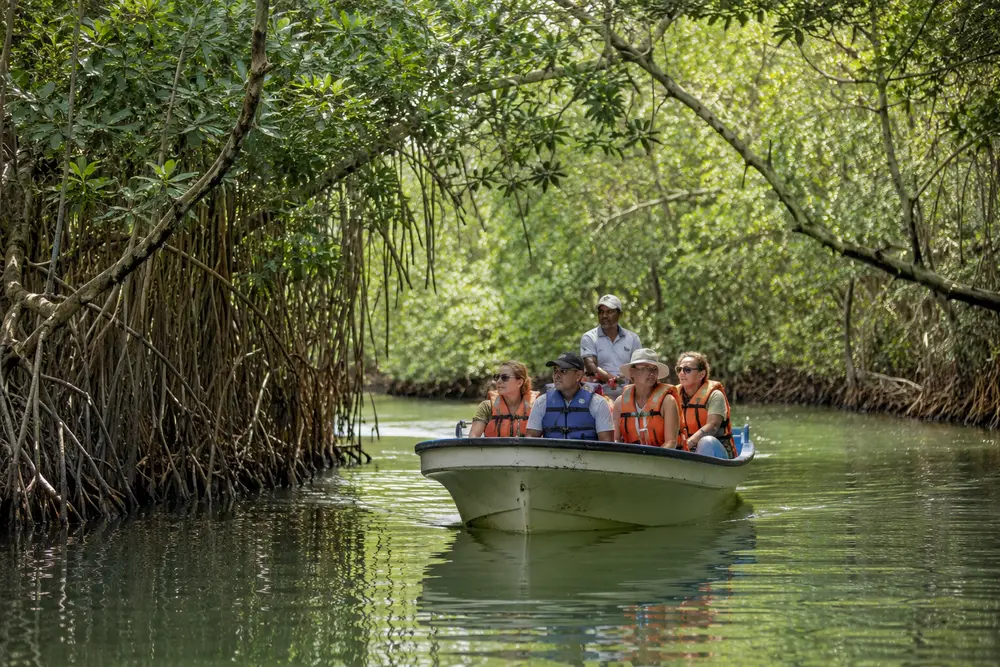 Laguna Gri-Grí Mangroves & Caves Tour