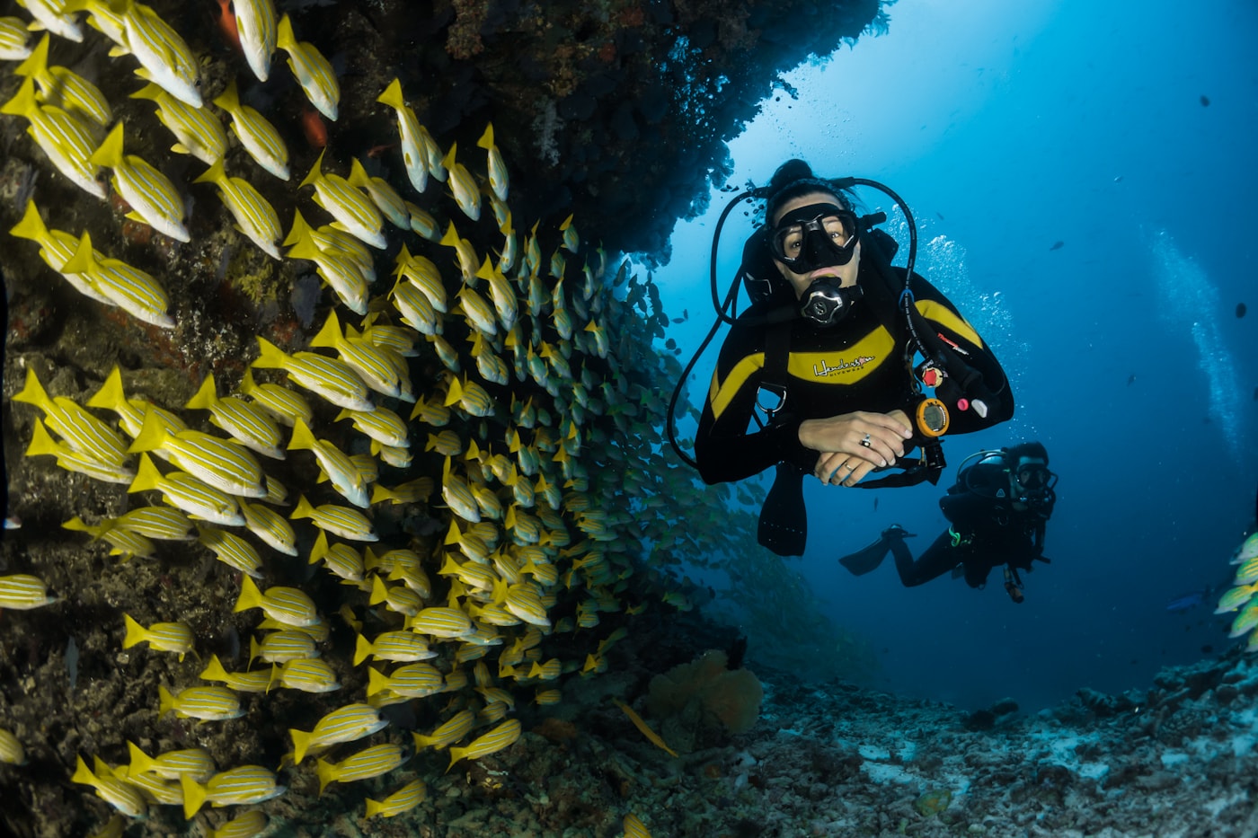Sosúa Bay Snorkeling & Beach Experience